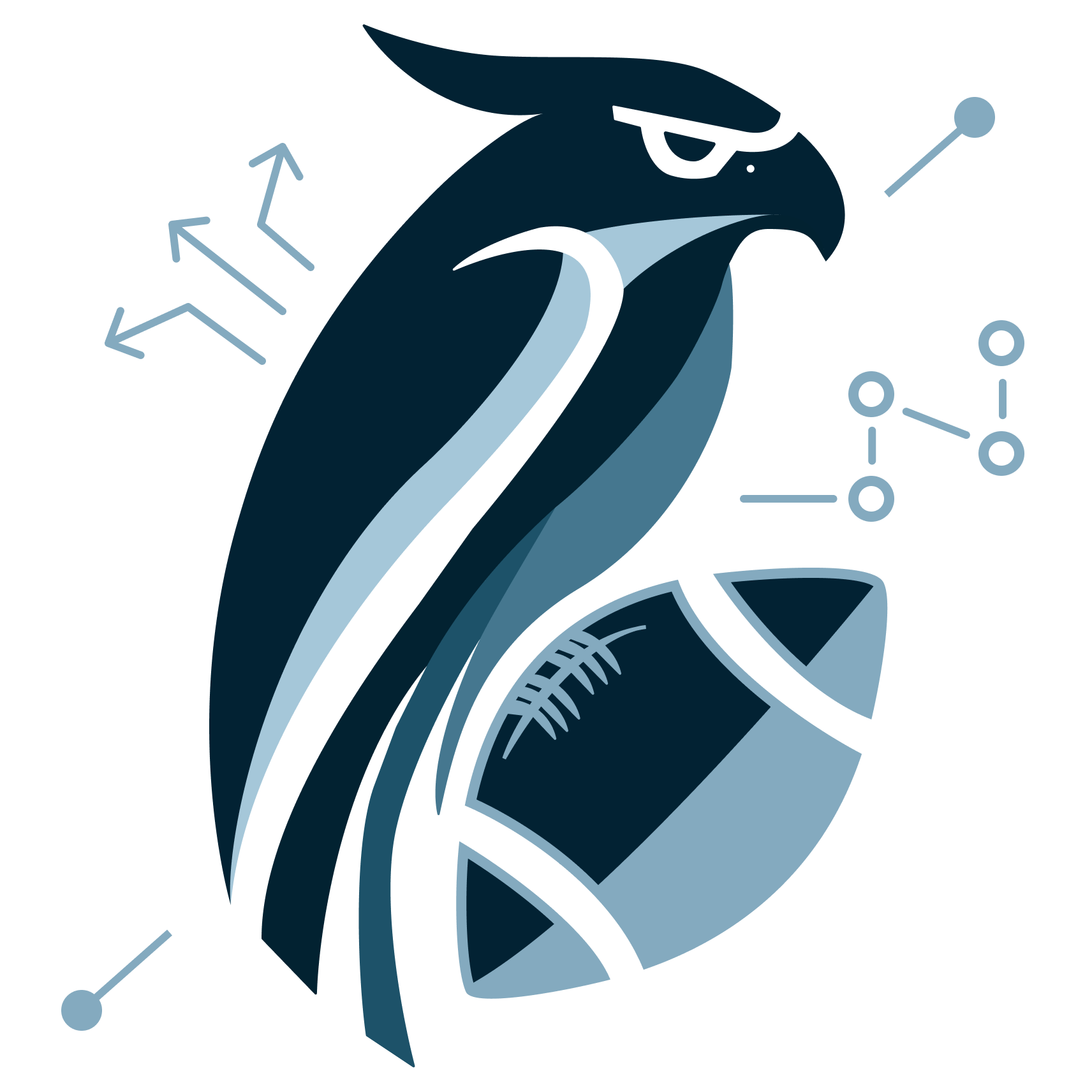 Ballhawk Logo